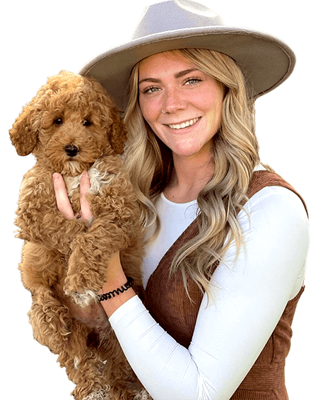 The Perfect Place for Pets