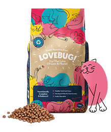 Joint Health Supplement for Dogs